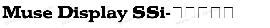 Muse Display SSi字体转换
